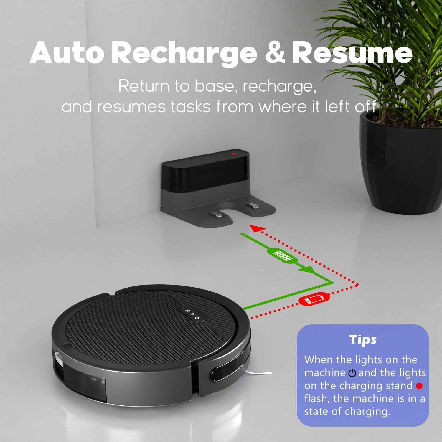 3-in-1 Robot Vacuum & Mop – Ultra-Thin, 5000Pa Suction, Self-Charging - Muselune