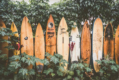 Tropical Surf Poster – Palm Tree & Surfboard Canvas Wall Ar - Muselune