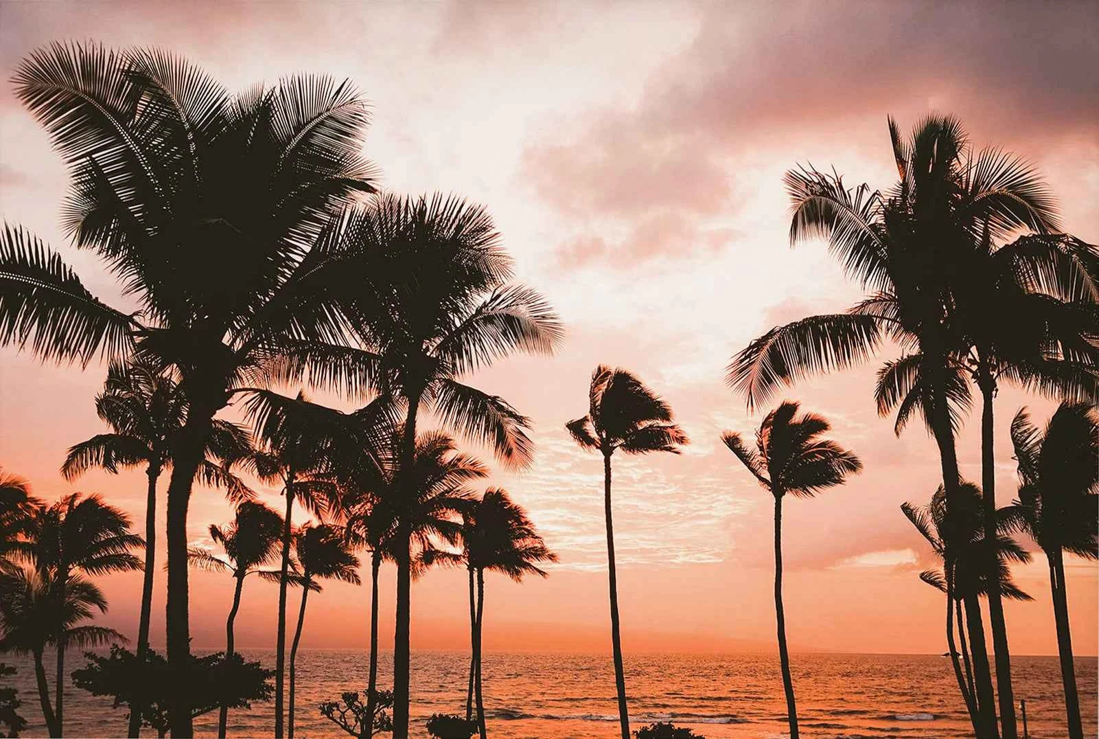 Tropical Surf Poster – Palm Tree & Surfboard Canvas Wall Ar - Muselune