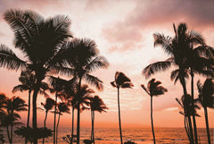 Tropical Surf Poster – Palm Tree & Surfboard Canvas Wall Ar - Muselune
