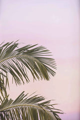 Tropical Surf Poster – Palm Tree & Surfboard Canvas Wall Ar - Muselune