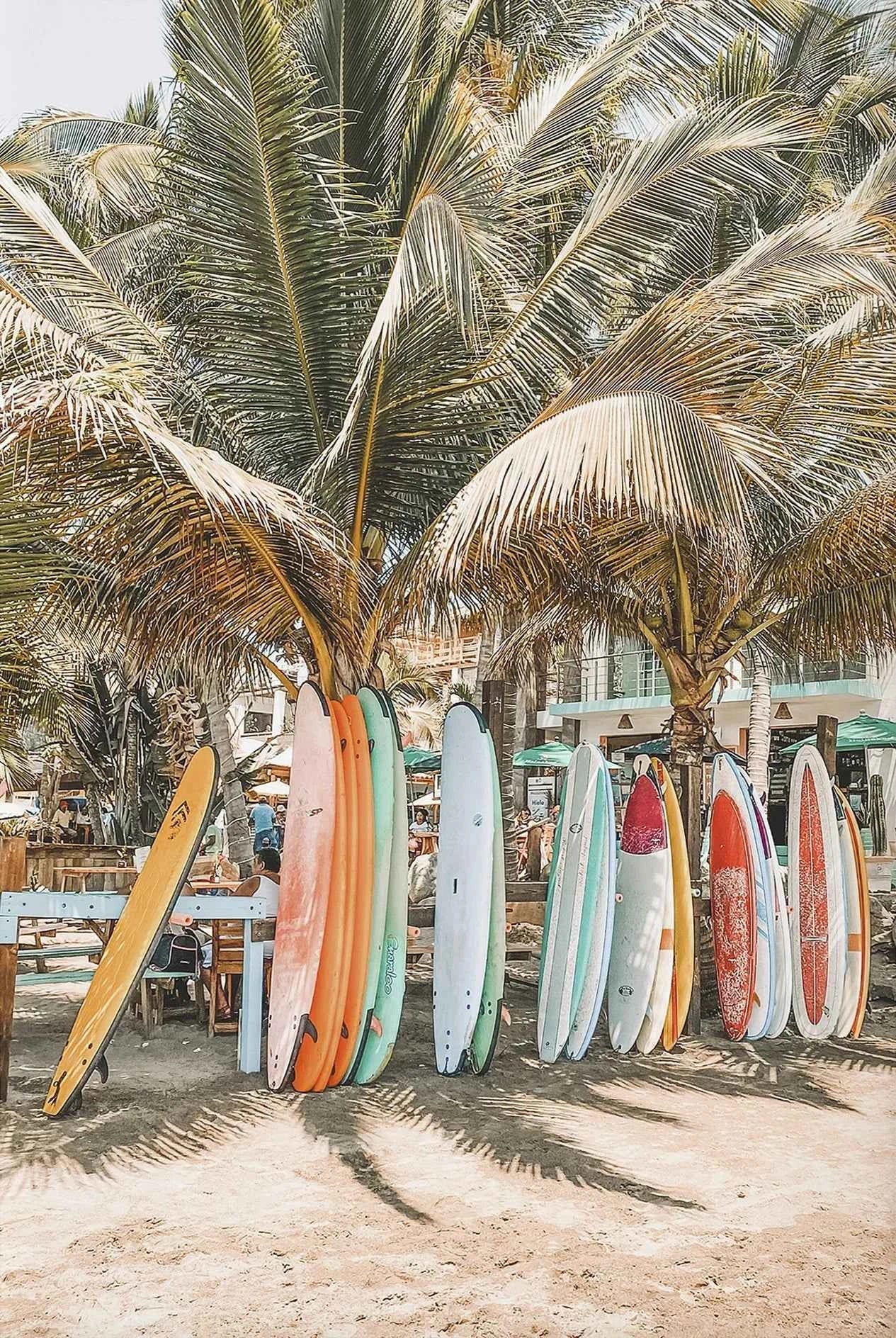 Tropical Surf Poster – Palm Tree & Surfboard Canvas Wall Ar - Muselune