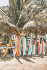 Tropical Surf Poster – Palm Tree & Surfboard Canvas Wall Ar - Muselune