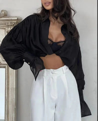 French Sexy Sheer with Puff Sleeves Style Shirt
