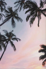Tropical Surf Poster – Palm Tree & Surfboard Canvas Wall Ar - Muselune