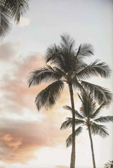 Tropical Surf Poster – Palm Tree & Surfboard Canvas Wall Ar - Muselune