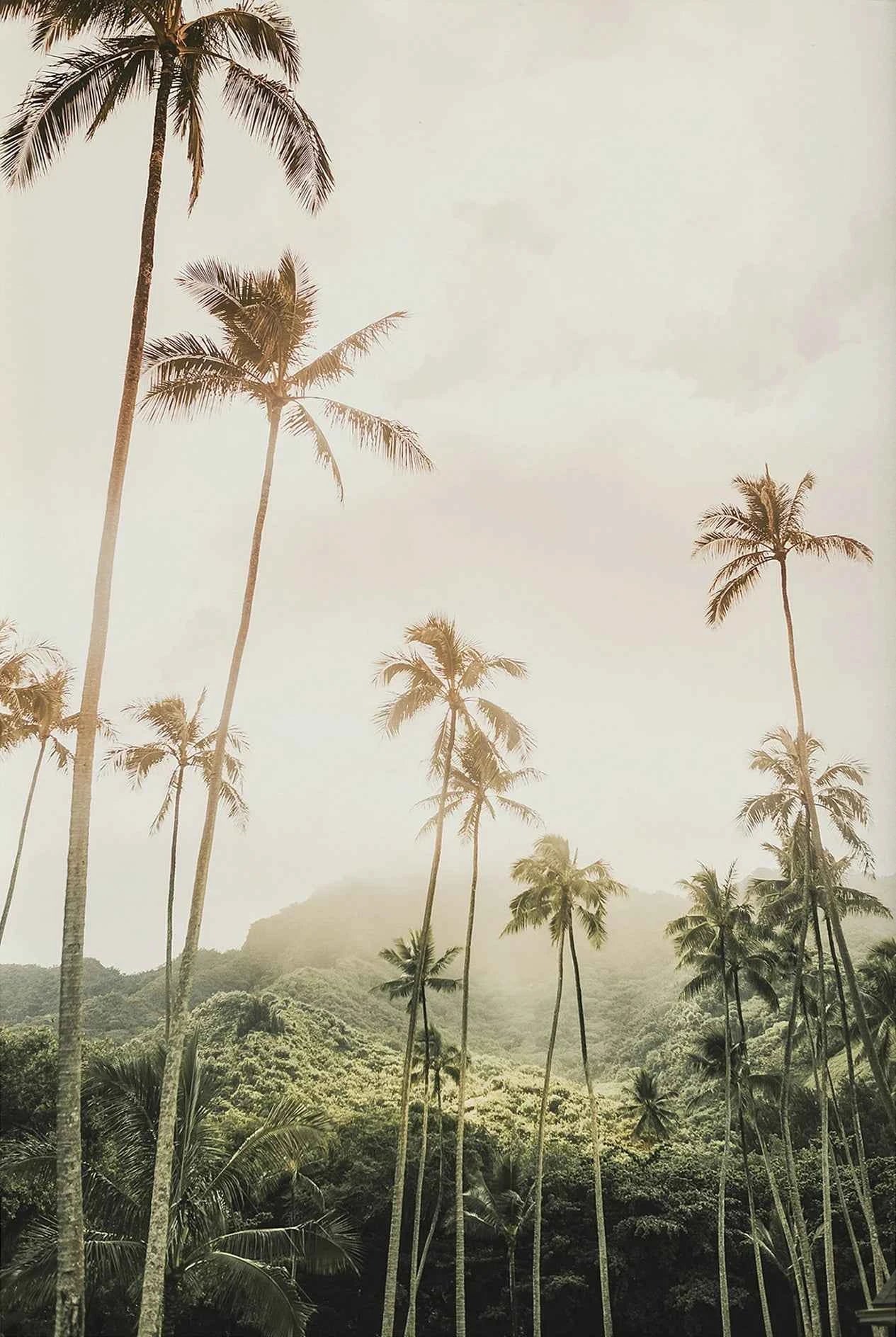 Tropical Surf Poster – Palm Tree & Surfboard Canvas Wall Ar - Muselune